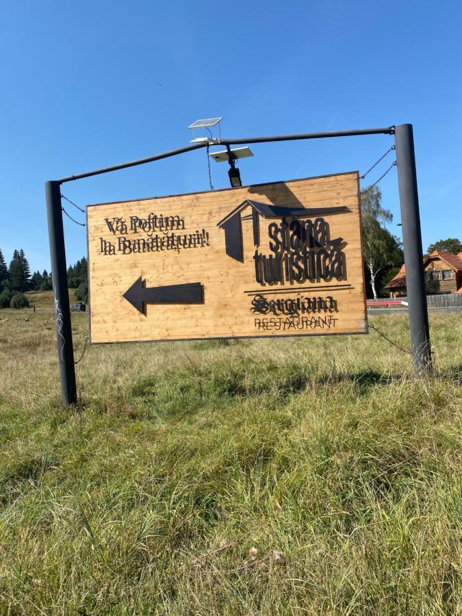 Апартаменти Pentahouse Mountain Belle Vue Пояна-Брашов Екстер'єр фото